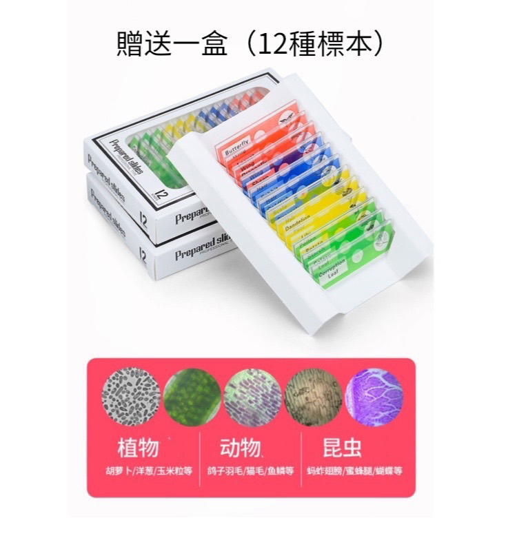 贈送一盒12種標本 植物 动物 胡萝卜洋葱玉米粒等 鸽子羽毛猫毛鱼鳞等 蚂蚱翅膀蜜蜂腿蝴蝶等 昆虫 