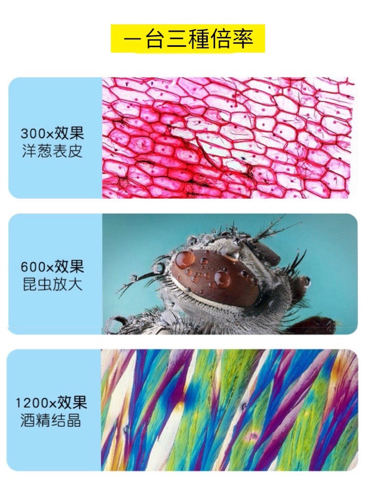 1200x效果