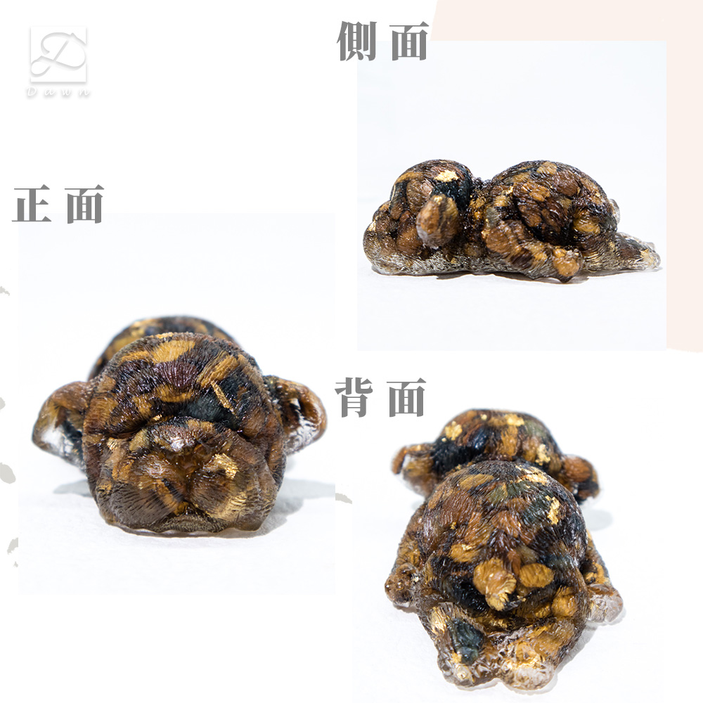 正面 側面 背面 