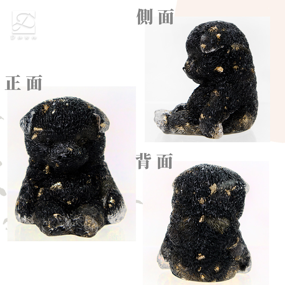 正面 側面 背面 