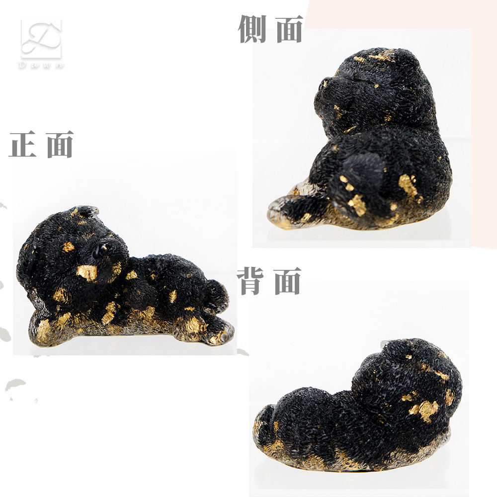 正面 側面 背面 