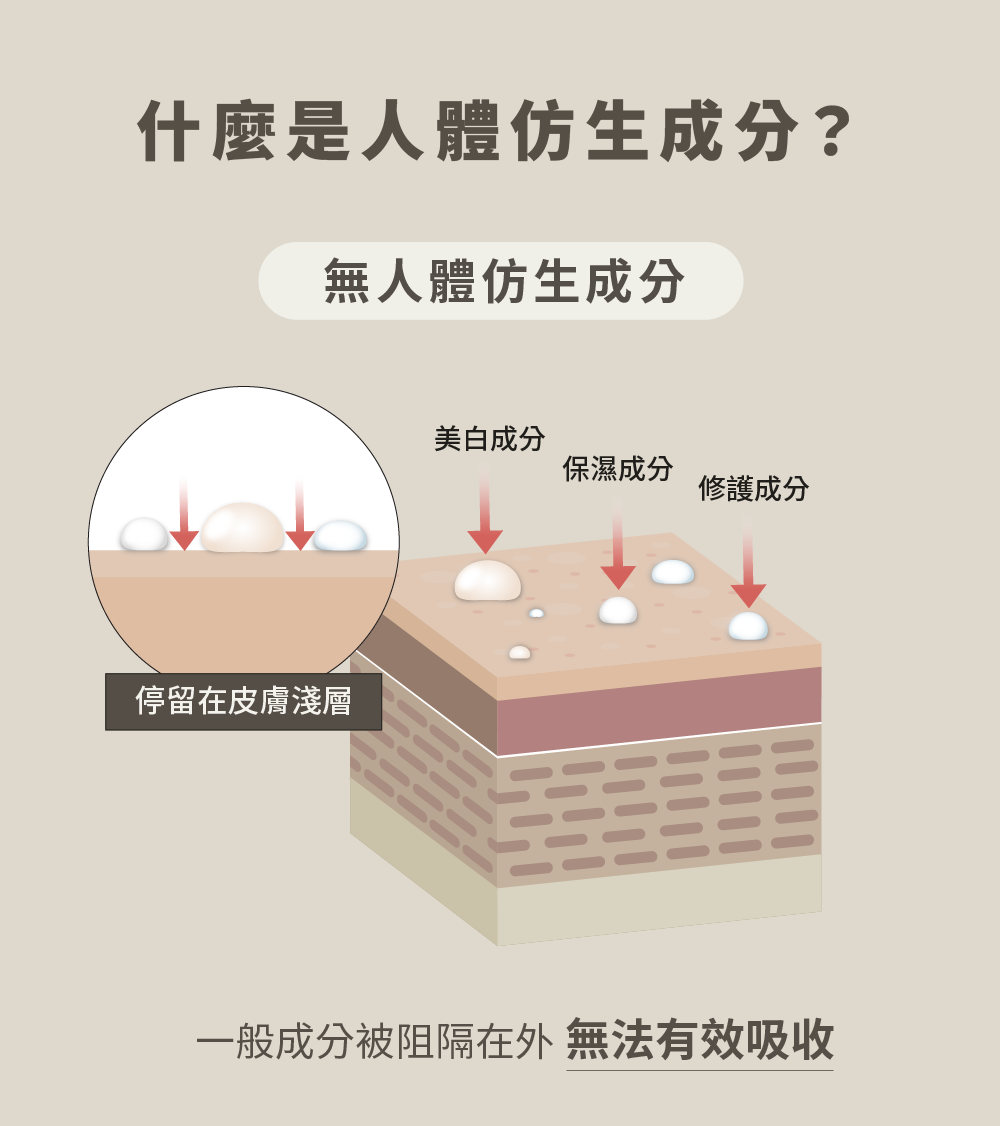 一般成分被阻隔在外 無法有效吸收