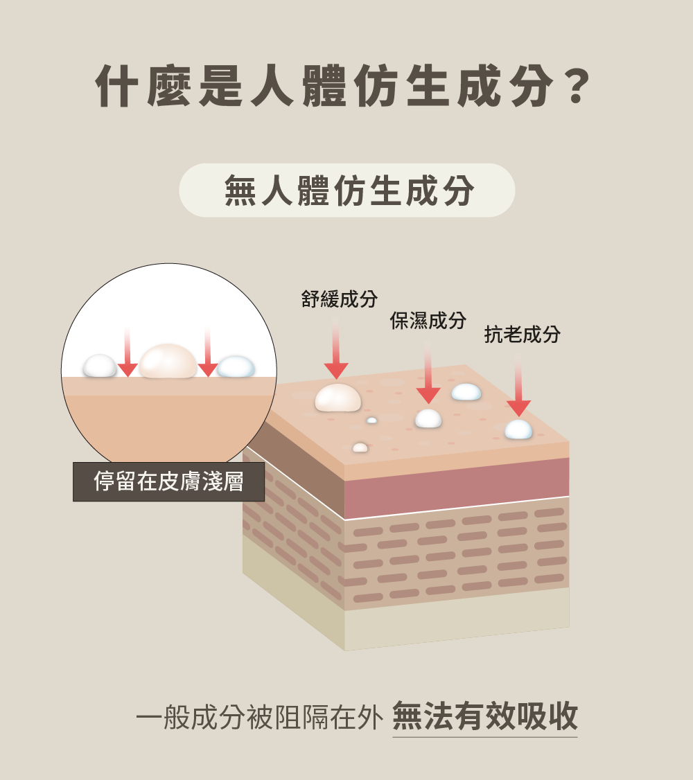 一般成分被阻隔在外 無法有效吸收