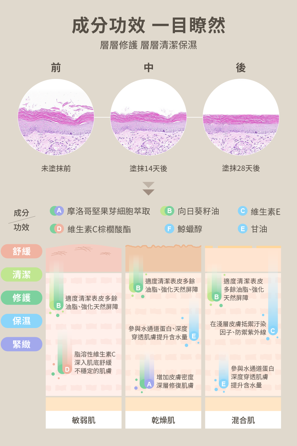 A 摩洛哥堅果芽細胞萃取 B 向日葵籽油