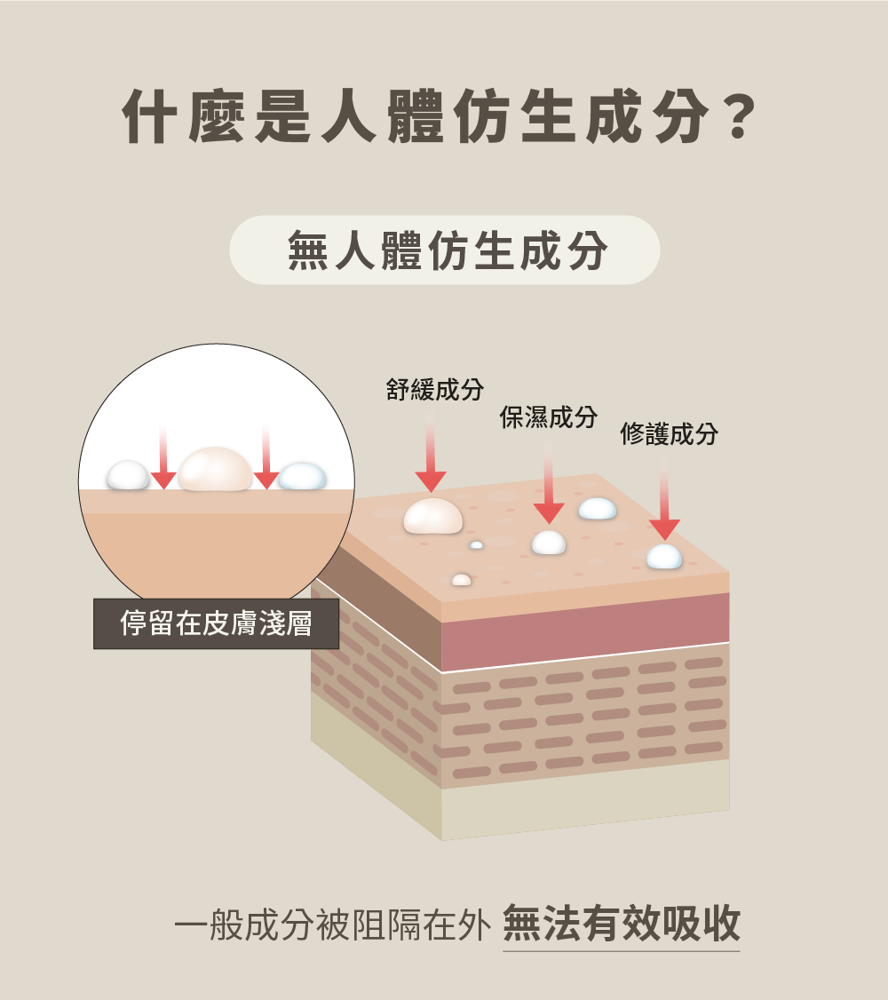 一般成分被阻隔在外 無法有效吸收