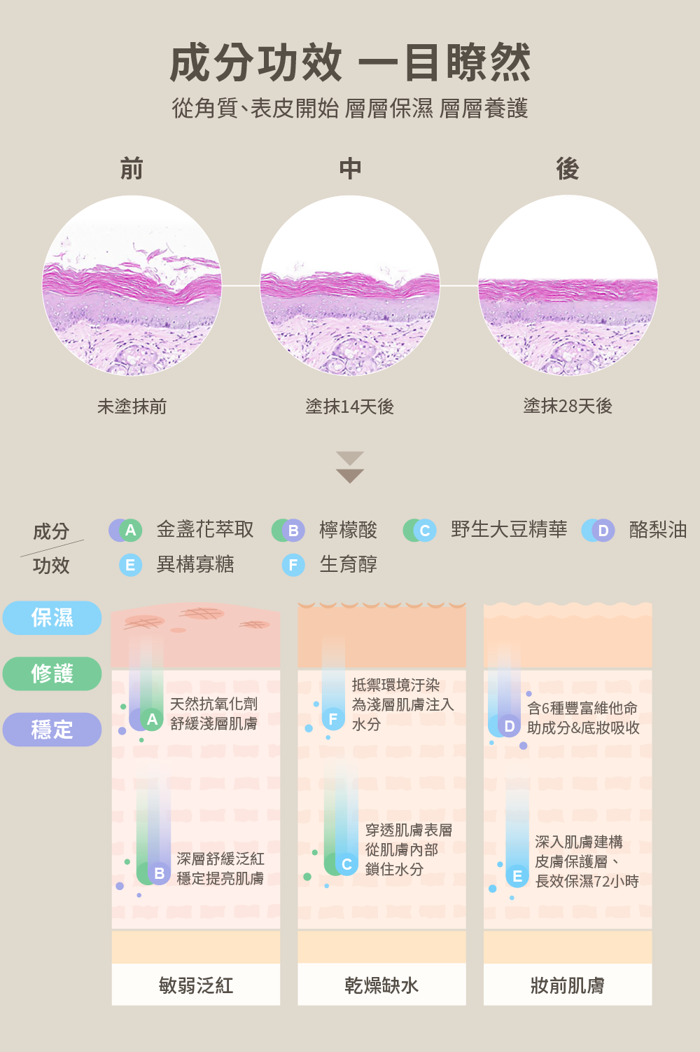 從角質、表皮開始 層層保濕 層層養護
