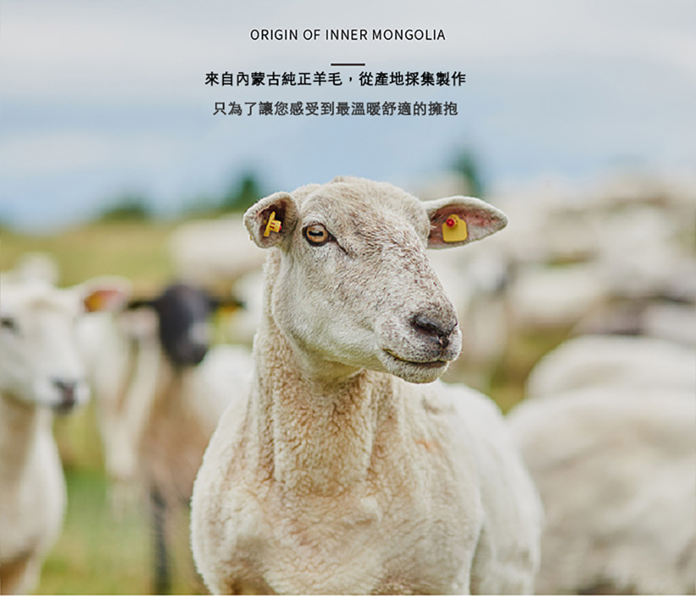 來自內蒙古純正羊毛,從產地採集製作 只為了讓您感受到最溫暖舒適的擁抱 