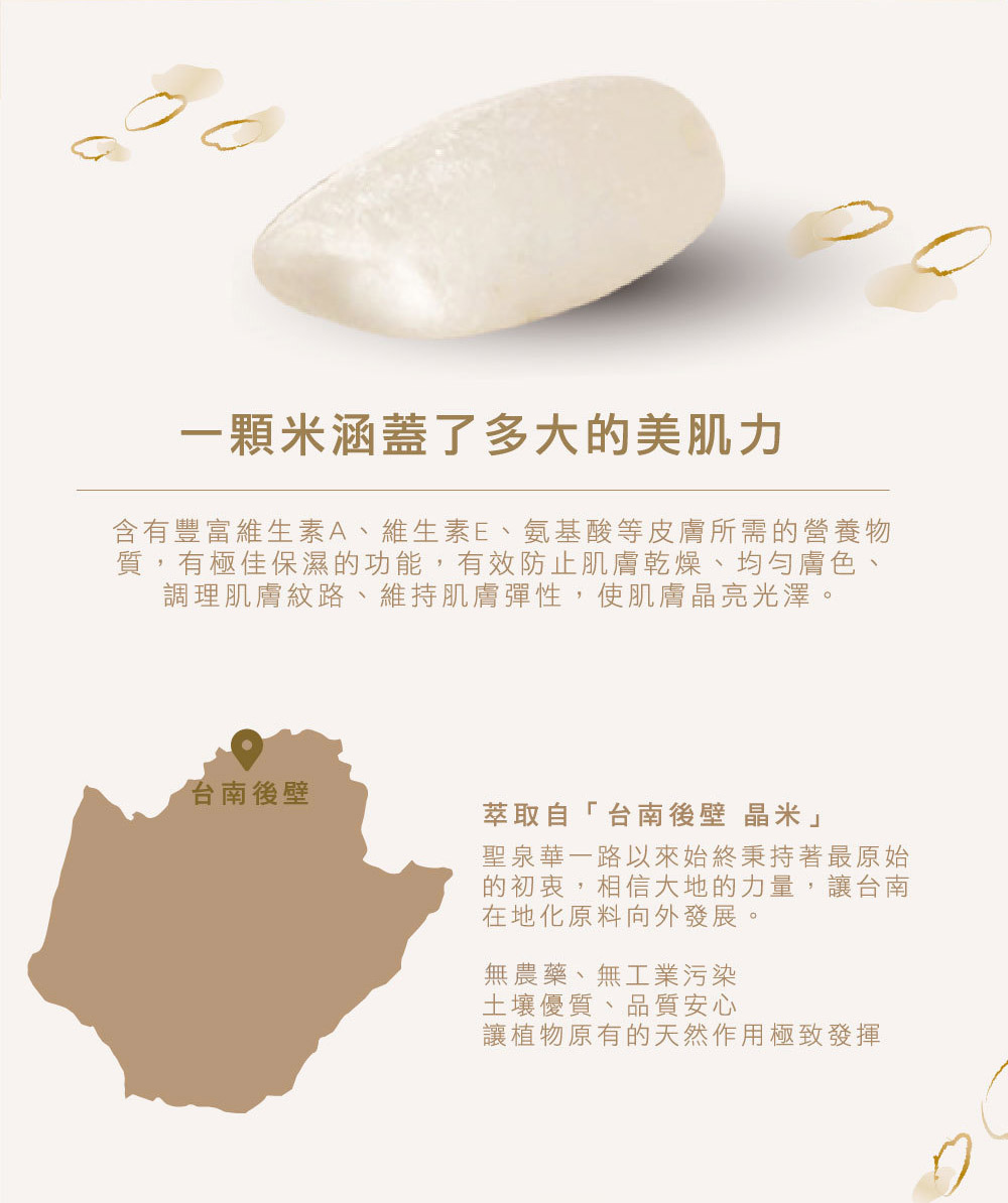 含有豐富維生素A、維生素E、氨基酸等皮膚所需的營養物