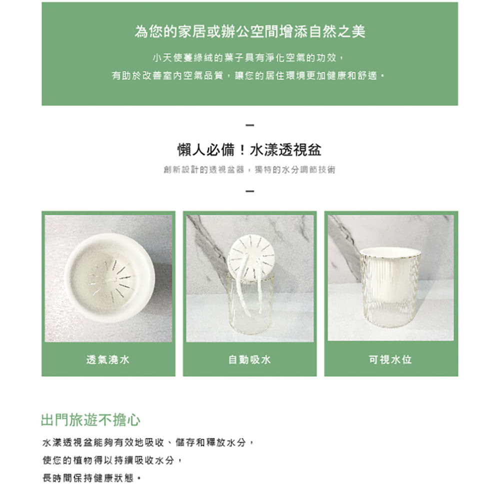 有助於改善室內空氣品質,讓您的居住環境更加健康和舒適。