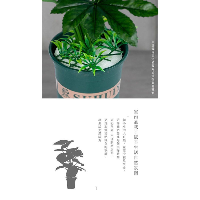 如小小的大自然,在家中綻放生命,