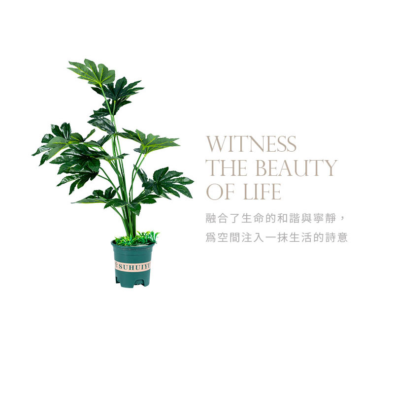 融合了生命的和諧與寧靜 為空間注入一抹生活的詩意 