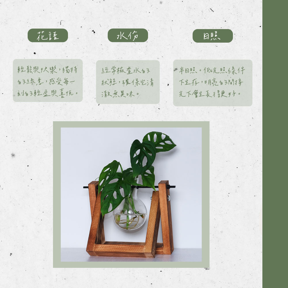 一半日照。低光照條件