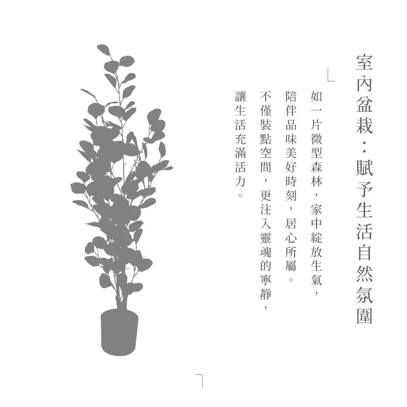 室内盆栽賦予生活自然氛圍 如一片微型森林,家中綻放生氣, 陪伴品味美好時刻,居心所屬 不僅裝點空間,更注入靈魂的寧靜 讓生活充滿活力。 