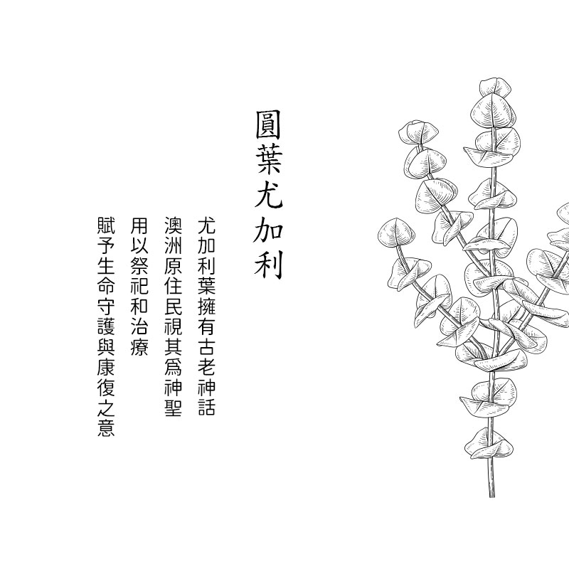 圓葉尤加利 尤加利葉擁有古老神話 澳洲原住民視其爲神聖 用以祭祀和治療 賦予生命守護與康復之意 