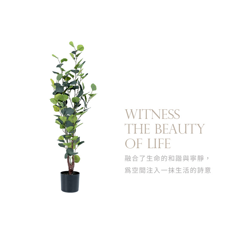 融合了生命的和諧與寧靜, 為空間注入一抹生活的詩意 