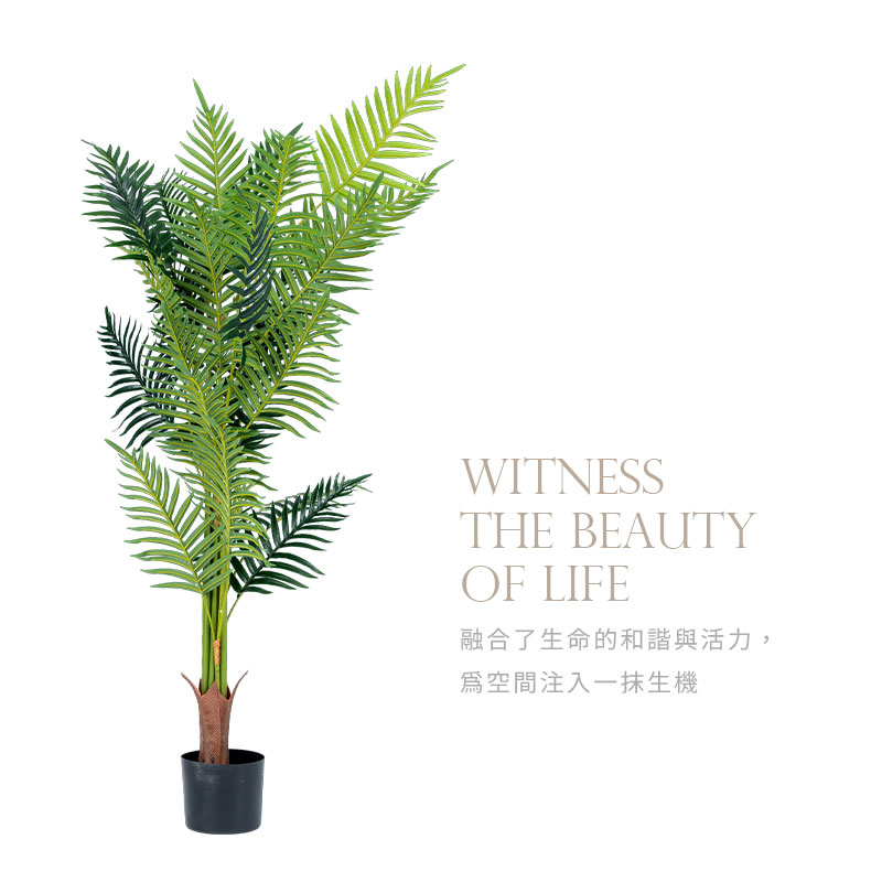 融合了生命的和諧與活力, 為空間注入一抹生機 