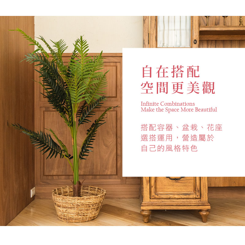 自在搭配 空間更美觀 搭配容器、盆栽、花座 選搭運用,營造屬於 自己的風格特色 