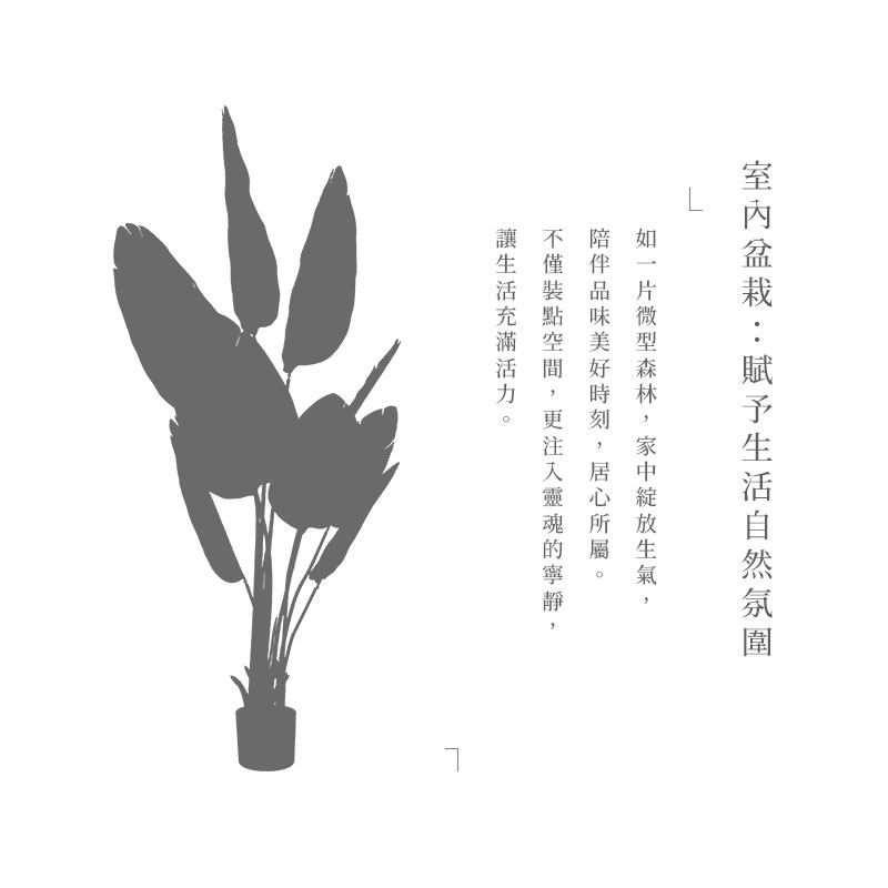 室內盆栽賦予生活自然氛圍 如一片微型森林,家中綻放生氣 陪伴品味美好時刻,居心所屬。 不僅裝點空間,更注入靈魂的寧靜, 讓生活充滿活力。 