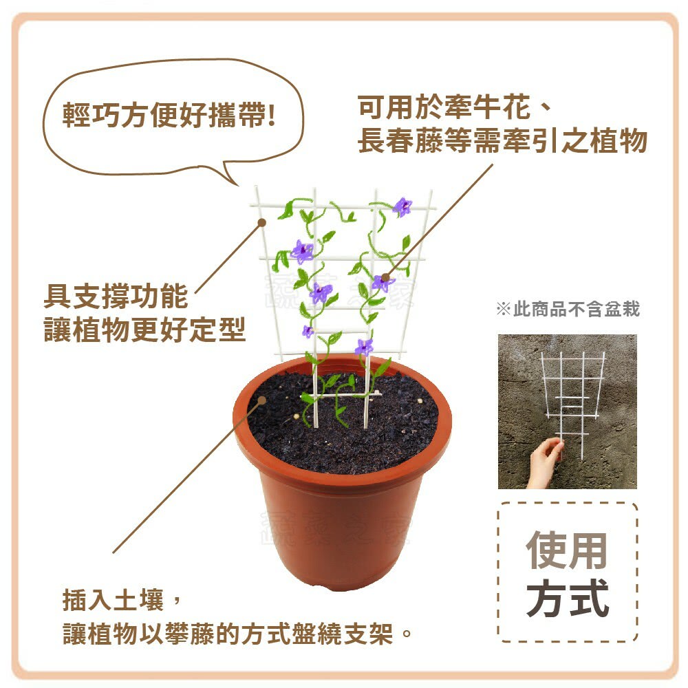 讓植物以攀藤的方式盤繞支架。