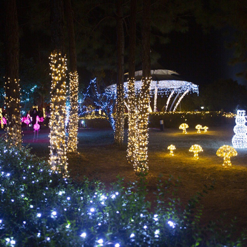 黑款100LED太陽能燈串1組(聖誕節氣球派對佈置庭院燈萬聖節燈飾樹 ...