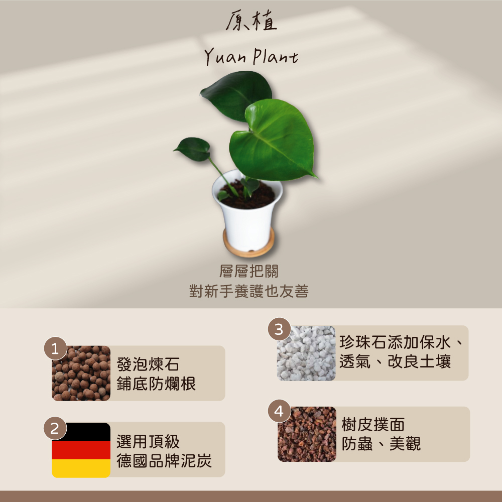 對新手養護也友善