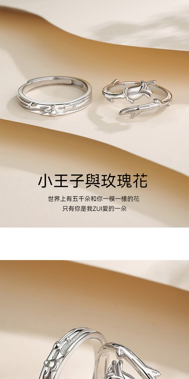 小王子與玫瑰花 世界上有五千朵和你一模一樣的花 只有你是我ZUI愛的一朵 