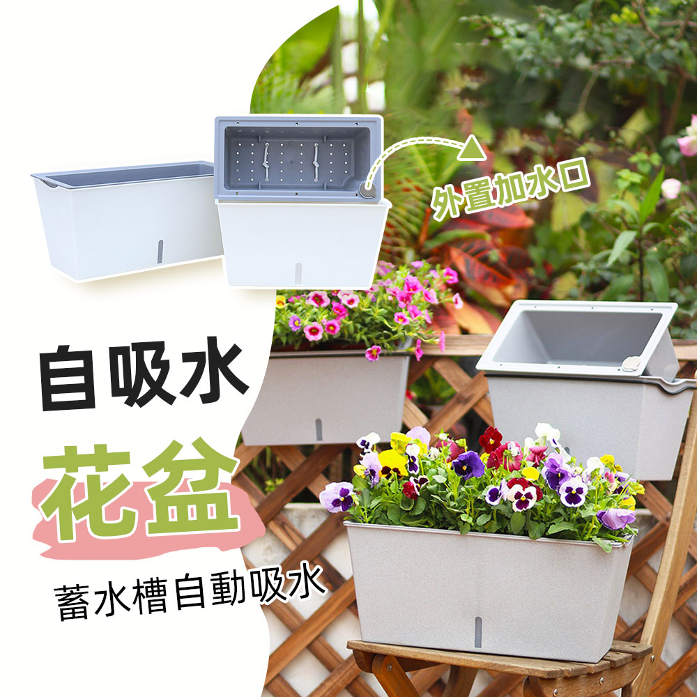 威揚購物】自吸水花盆30公分種菜箱種菜盆懶人花盆(方形盆長方形