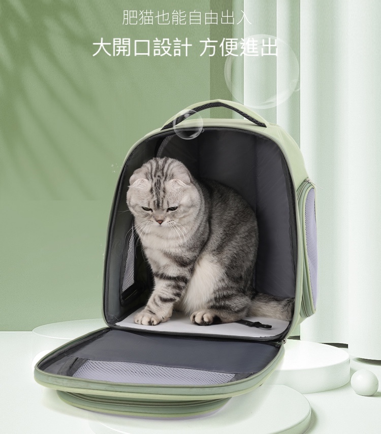 肥猫也能自由出入 大開口設計 方便進出