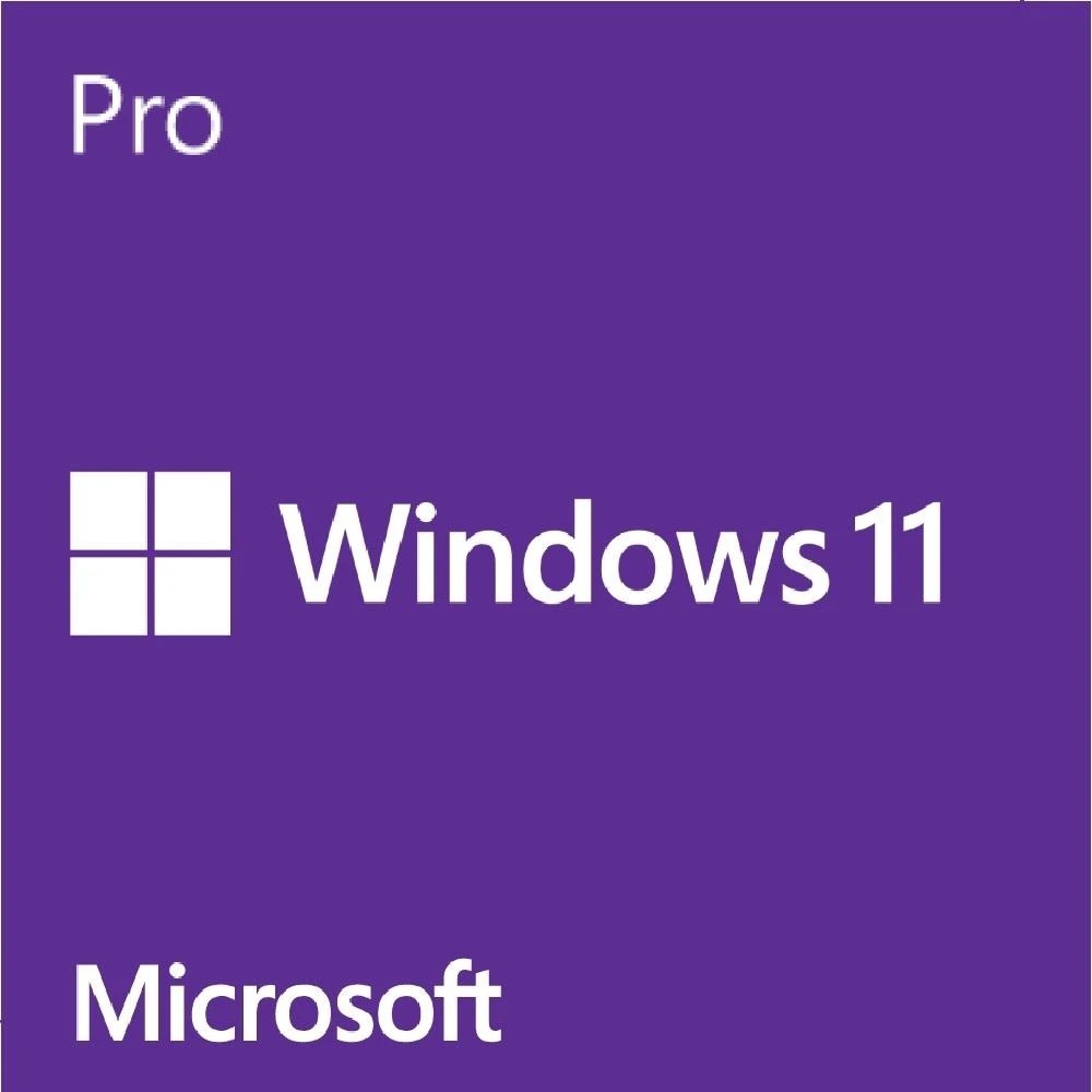 【Microsoft 微軟】Windows 11 Pro 中文專業隨機版 64位元(需主機板支援 TPM 2.0 信賴平台模組)