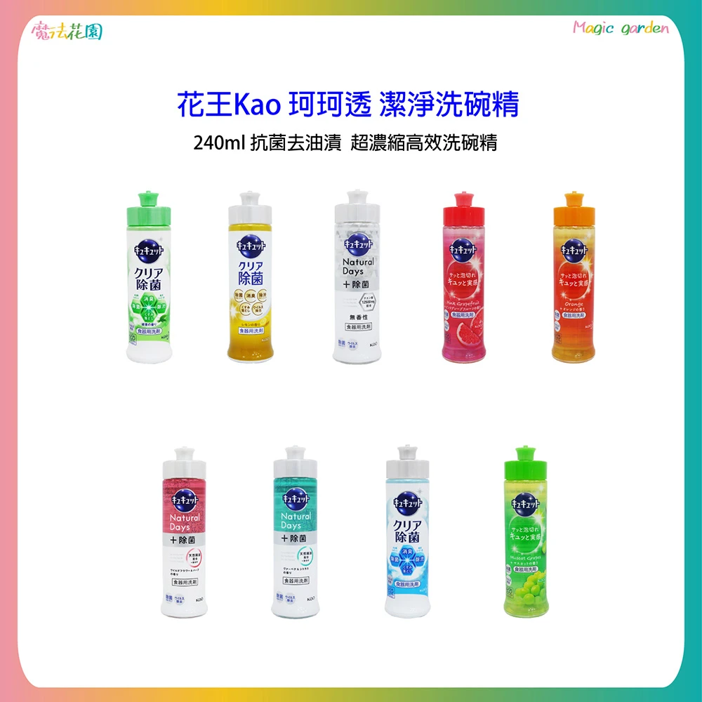 【Kao 花王】花王Kao 潔淨洗碗精  240ml 珂珂透 抗菌去油漬  超濃縮高效洗碗精(花王)