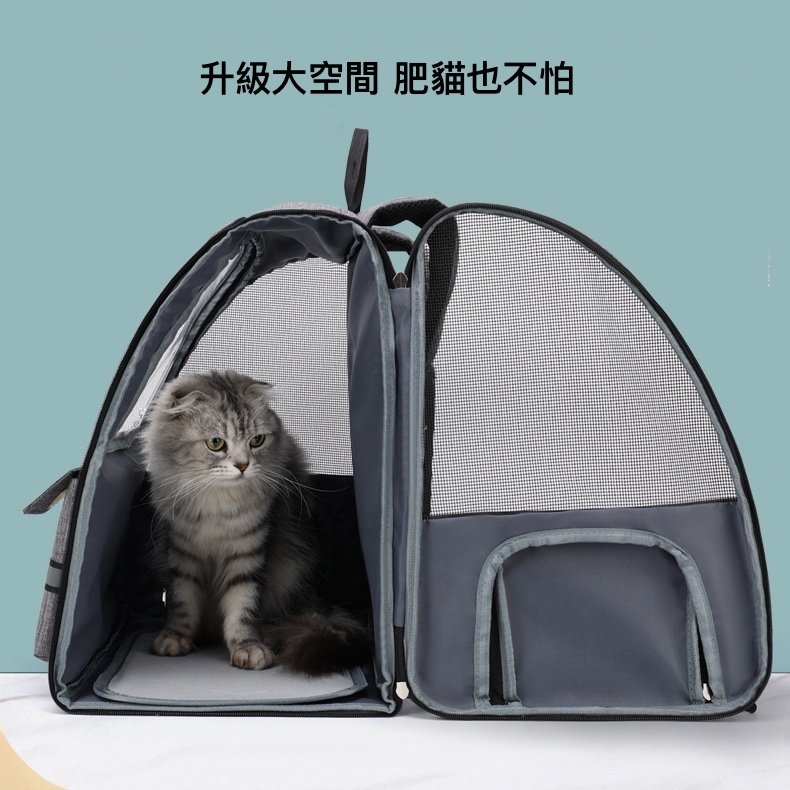 升級大空間 肥貓也不怕