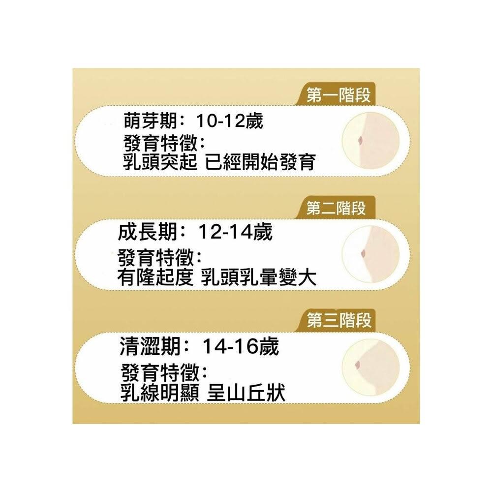 內衣女童 Q貝比】台灣出貨發育內衣女童小背心內衣成長內衣女童內衣少女內衣無痕內衣(台灣出貨)