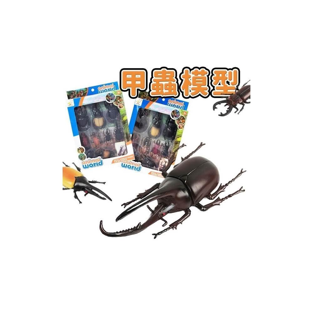銅製甲虫　7cm INSECTPORT TOKYO2025まで2週間となりました。 今回は立体標本