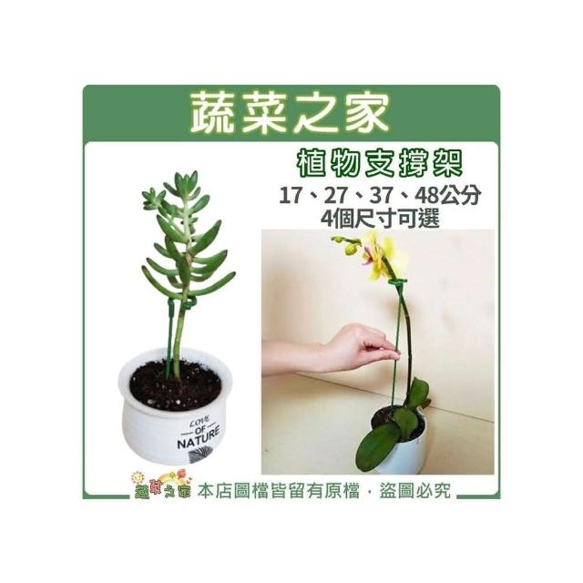 【蔬菜之家】植物支撐架玻璃纖維材質17；27、37、48公分 4種規格可選) 植物架 植物支架 植物固定 花線(植物架