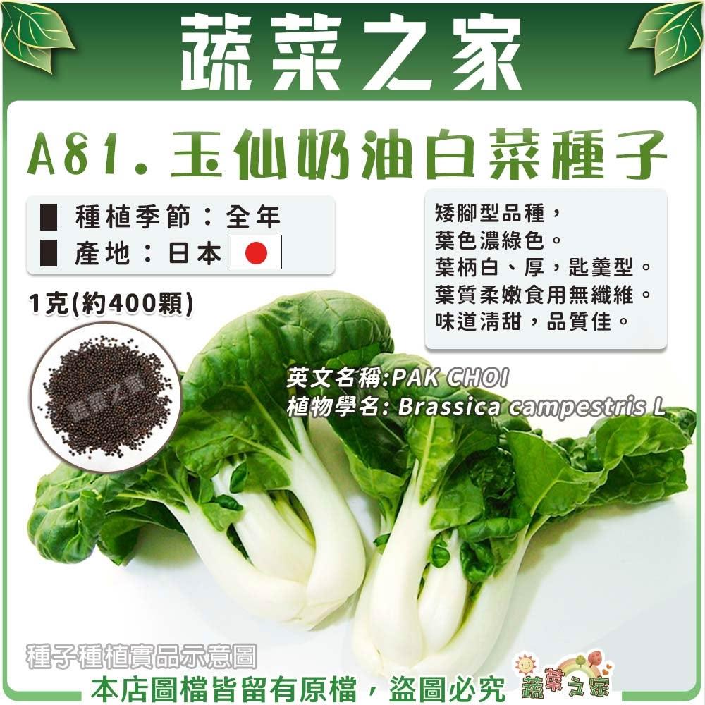 楽天市場】白菜 6玉入り 15kg 1玉2.5kg 送料無料 はくさい