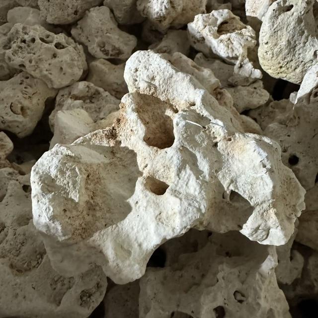 石意景觀石材】精緻咕咾石4公斤✨水族首選✨ 石頭石原石天然石天然洞石