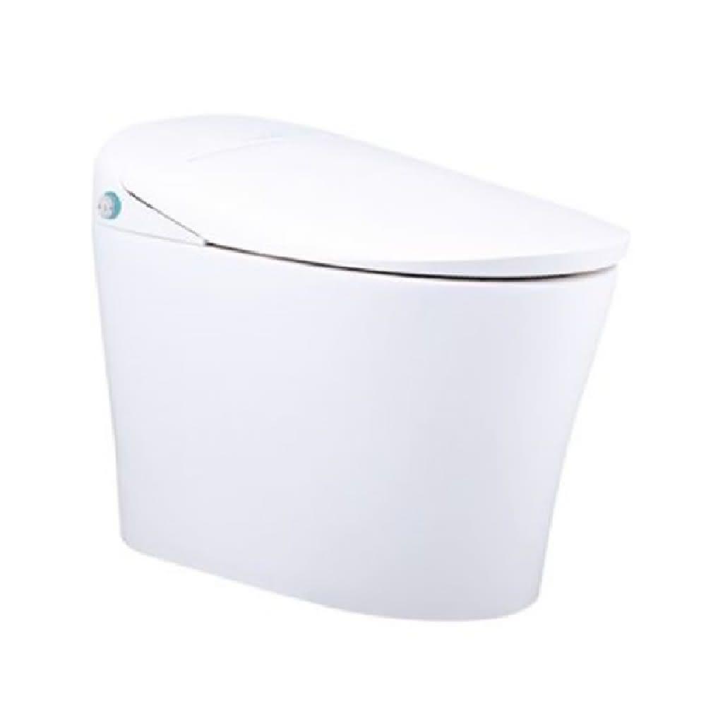 CAESAR凱撒衛浴 CA1384S 是一款高階一段式智慧馬桶，採用瞬熱式加熱技術，提供舒適溫水體驗。尺寸為 W40 x D65.5 x H49 cm（座高39.5 cm），電壓110V，產地臺灣，BSMI許可字號 T31465。適合現代居家使用，兼具便利與衛生，提升生活品質。