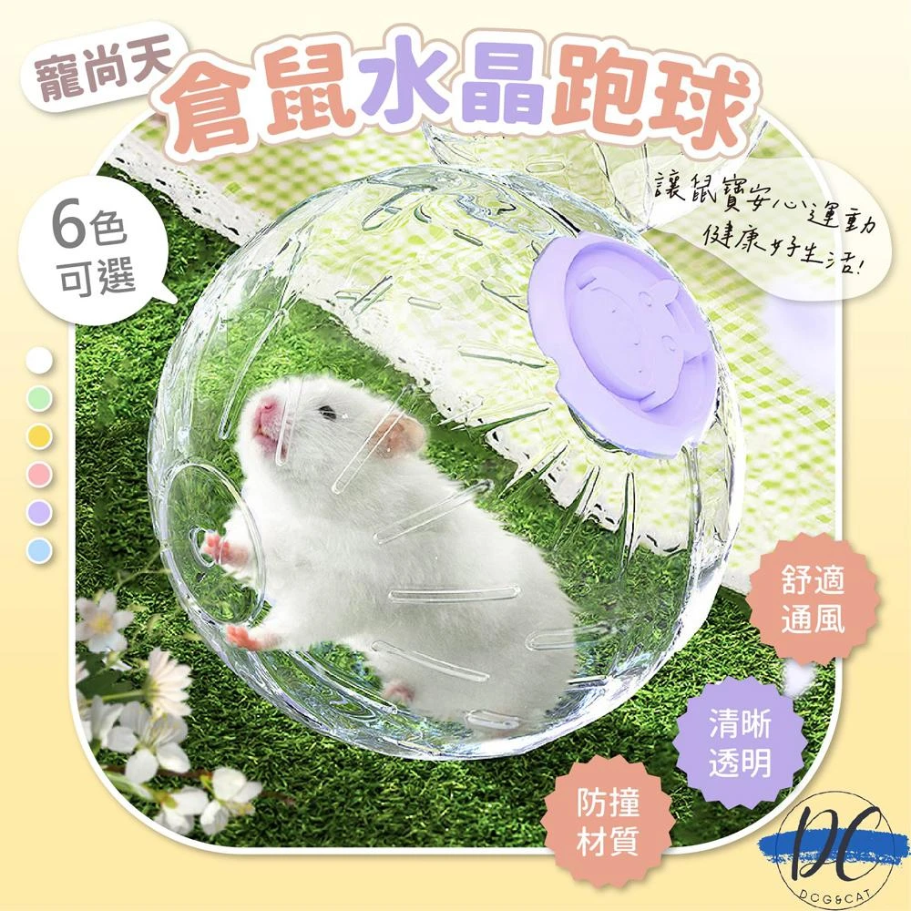 DC寵物現貨秒出🐾倉鼠球 倉鼠跑球 倉鼠運動跑球 倉鼠運動 寵物鼠跑球 倉鼠水晶球 倉鼠玩具球 倉鼠健身球 B022