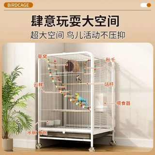 雲南省小鳥籠 雲南省小鳥籠