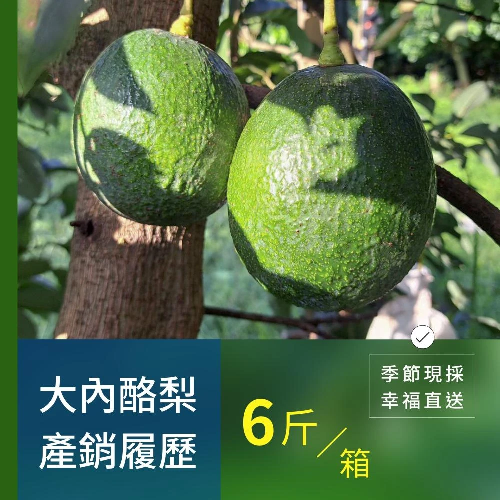樂咖田庄農場 利得酪梨6斤/箱（不轉色_季節限定）