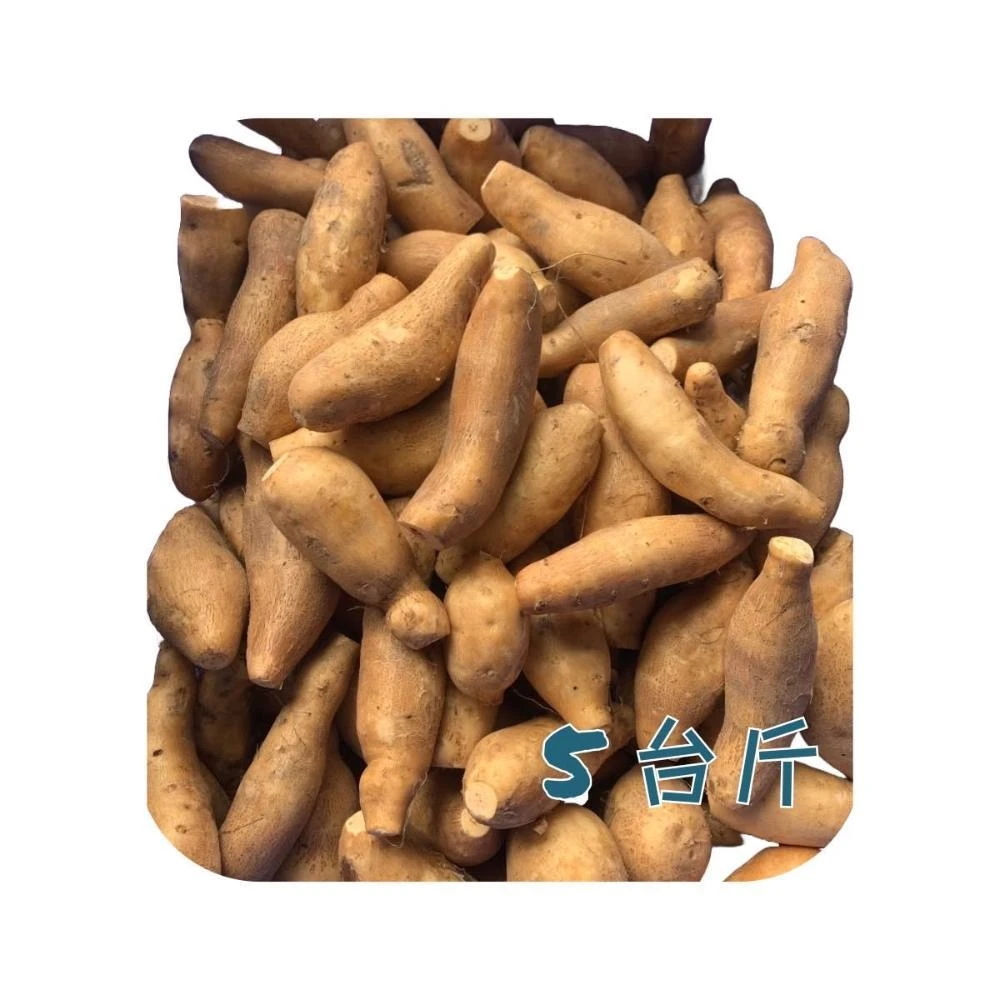 【地瓜春】台農57號 黃地瓜 5斤/箱