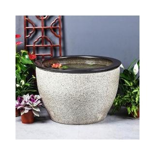 特大荷花缸 • 金魚缸 特大荷花缸 • 金魚缸 大型荷花缸的價格推薦- 2025年7月