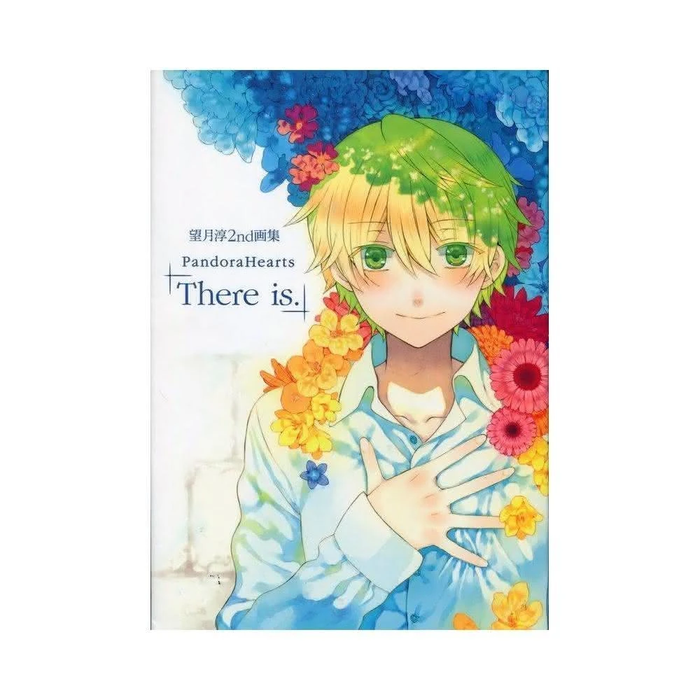 望月淳画集 2冊PandoraHearts odds and endsM2632 望月淳画集 2冊PandoraHearts odds and endsM2632