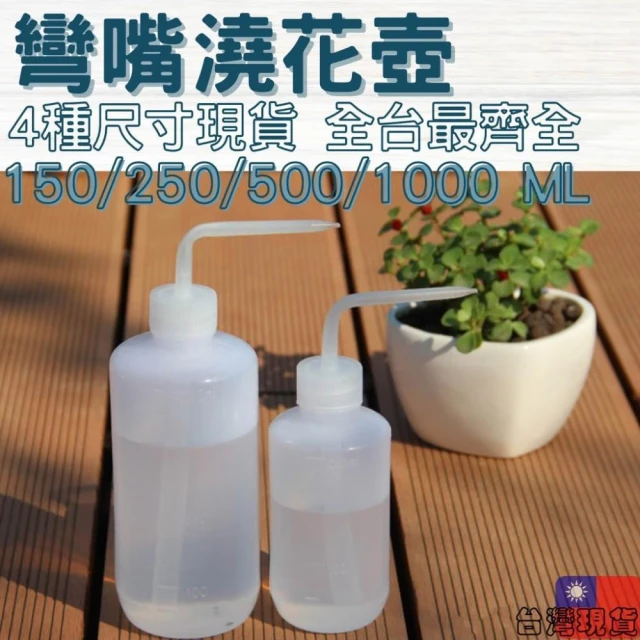 沐晨植物園｜多肉彎嘴澆水壺 彎嘴澆水壺 彎嘴水壺 多肉澆水 澆水壺 園藝工具 多肉專用 多肉植物 澆水器 多肉澆水器