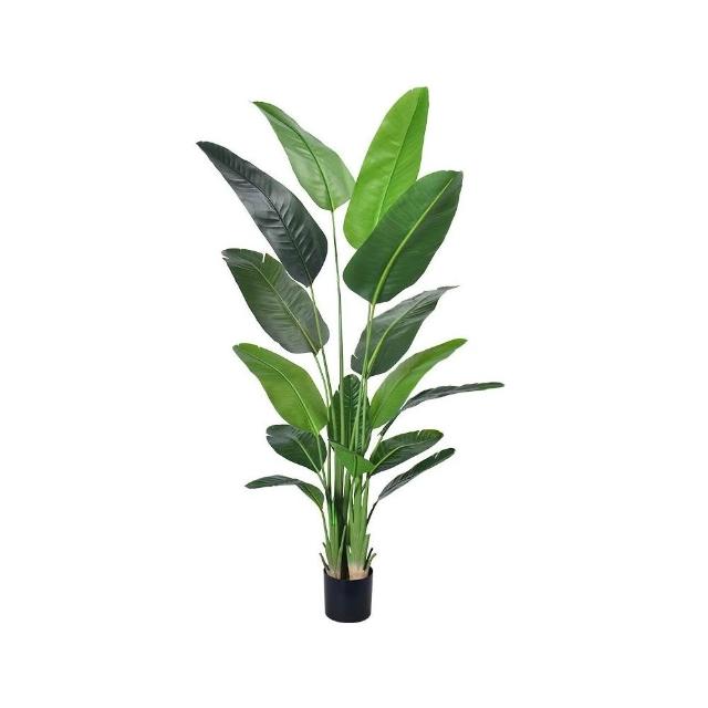 合枋傢俱仿真綠植盆栽旅人蕉落地盆景裝飾綠植仿真盆栽天堂鳥假綠