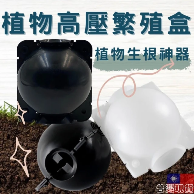 沐晨植物園｜高壓繁殖盒 高壓球 植物生根神器 繁殖球 嫁接球 高壓生根盒 扦插嫁接生根盒 高壓繁殖球 植物高壓球