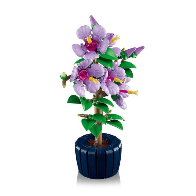 LEGO 樂高】10372 木槿Hibiscus 樂高® Icons系列