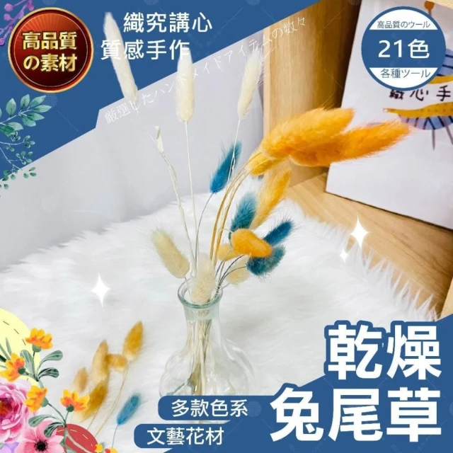 【織心手作】乾燥兔尾草 兔尾草 乾燥花材 乾燥花 不凋花 永生花 玫瑰花束配草  DIY乾燥花  迷你小花 拍攝道具