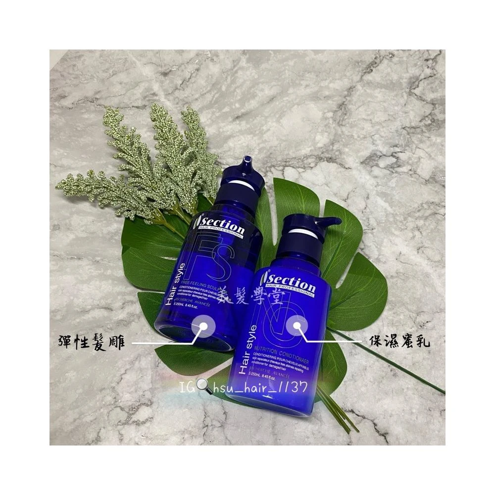 [美髮學堂]Section 雪克遜 亮麗保濕蜜乳/彈性髮雕250ml 