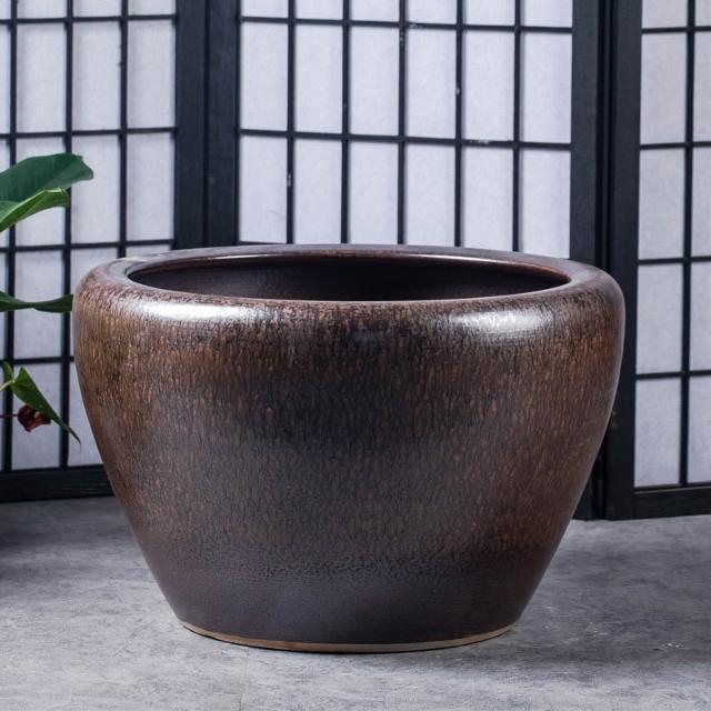 特大荷花缸 • 金魚缸 特大荷花缸 • 金魚缸